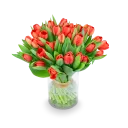 Kytice červených tulipánů